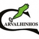 Carvalhinhos logo