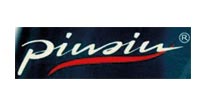 Pinsin logo
